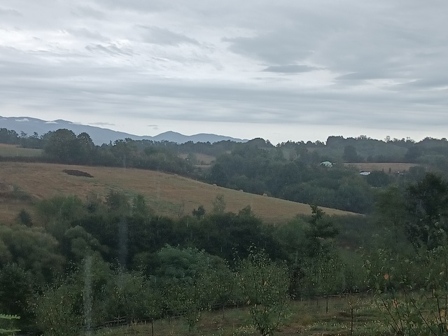Vrnčani Branetići Rajac 2023